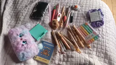 Set de papelería kawaii con estuche peludo - miniatura 1