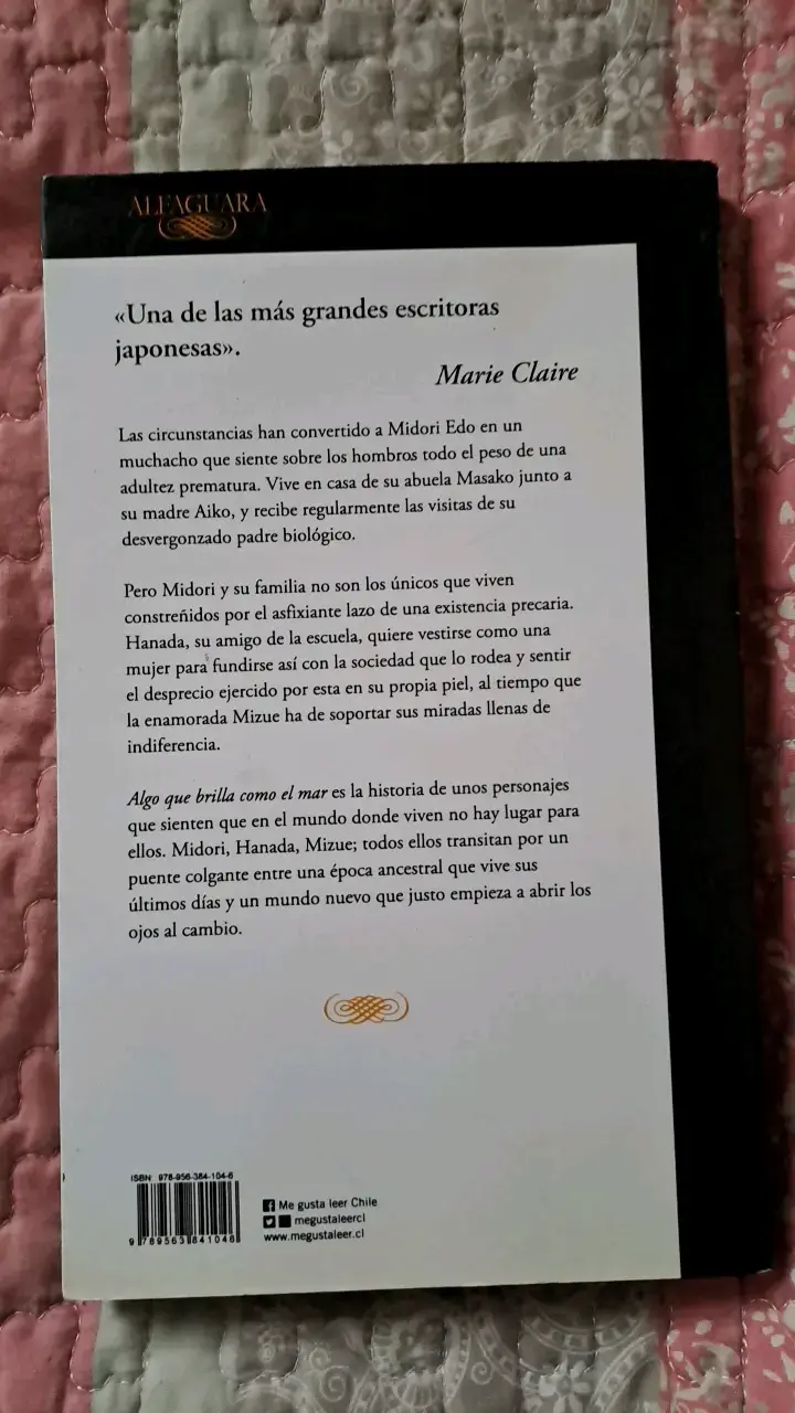 Libro 'Algo que brilla como el mar' Hiromi Kawaka - 2