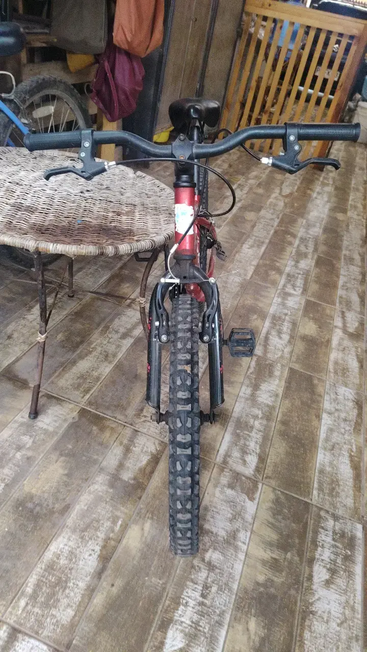 Bicicleta Oxford Draco para niños en buen estado - 2
