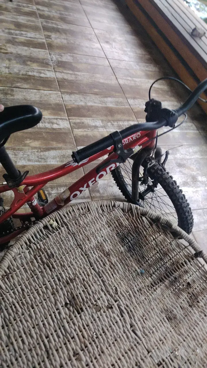 Bicicleta Oxford Draco para niños en buen estado - 4