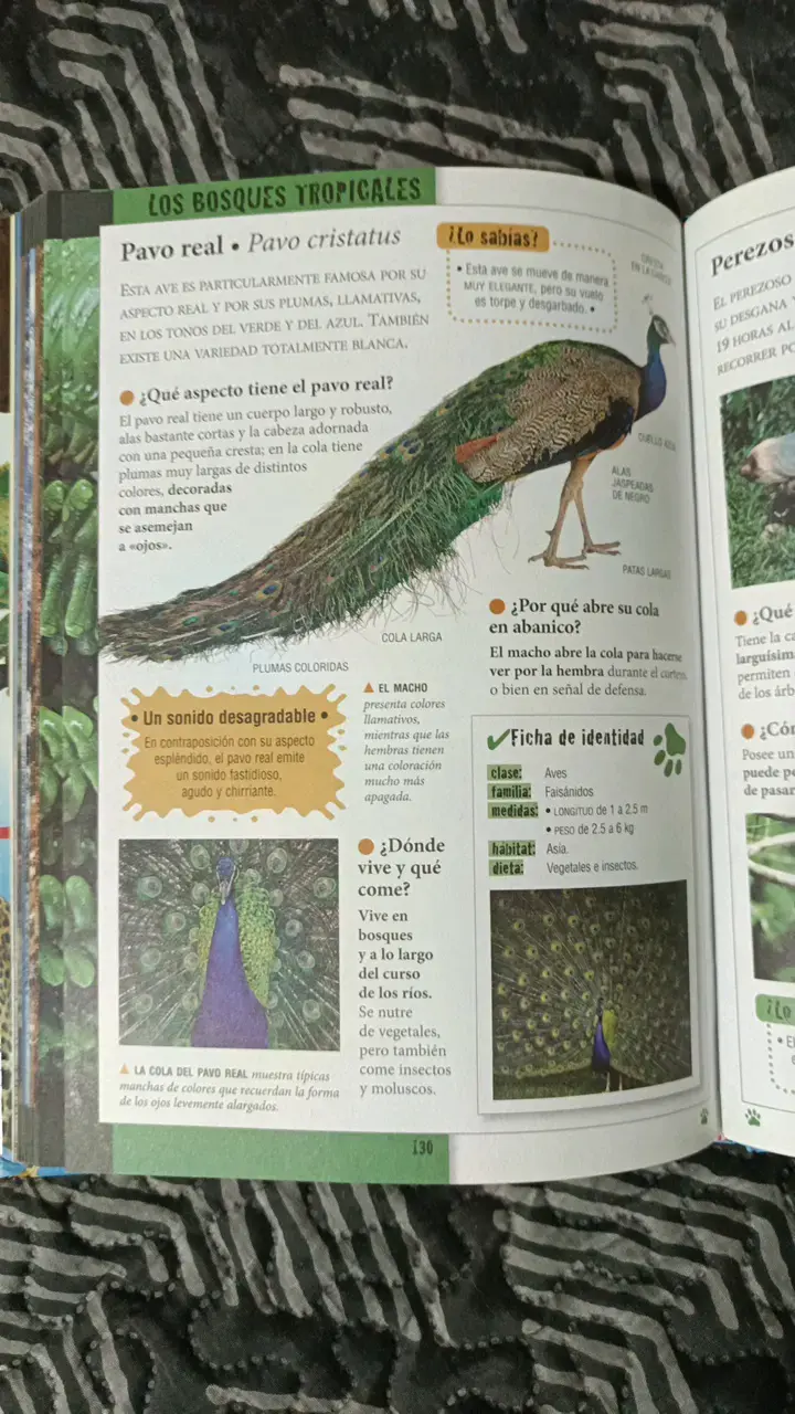 Libro educativo sobre animales para niños - 3