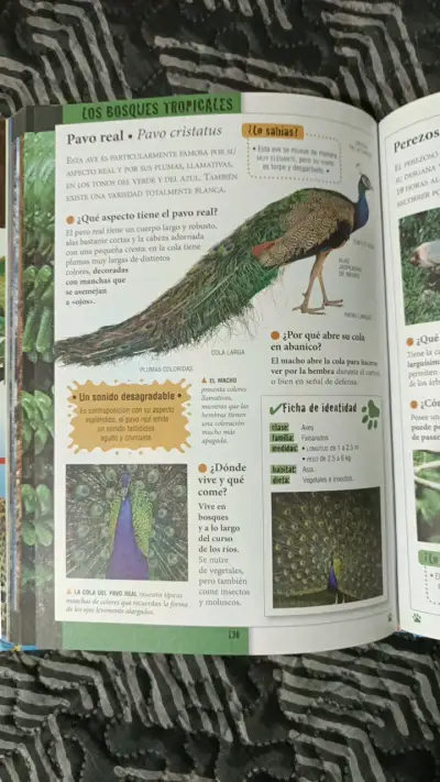 Libro educativo sobre animales para niños - miniatura 3