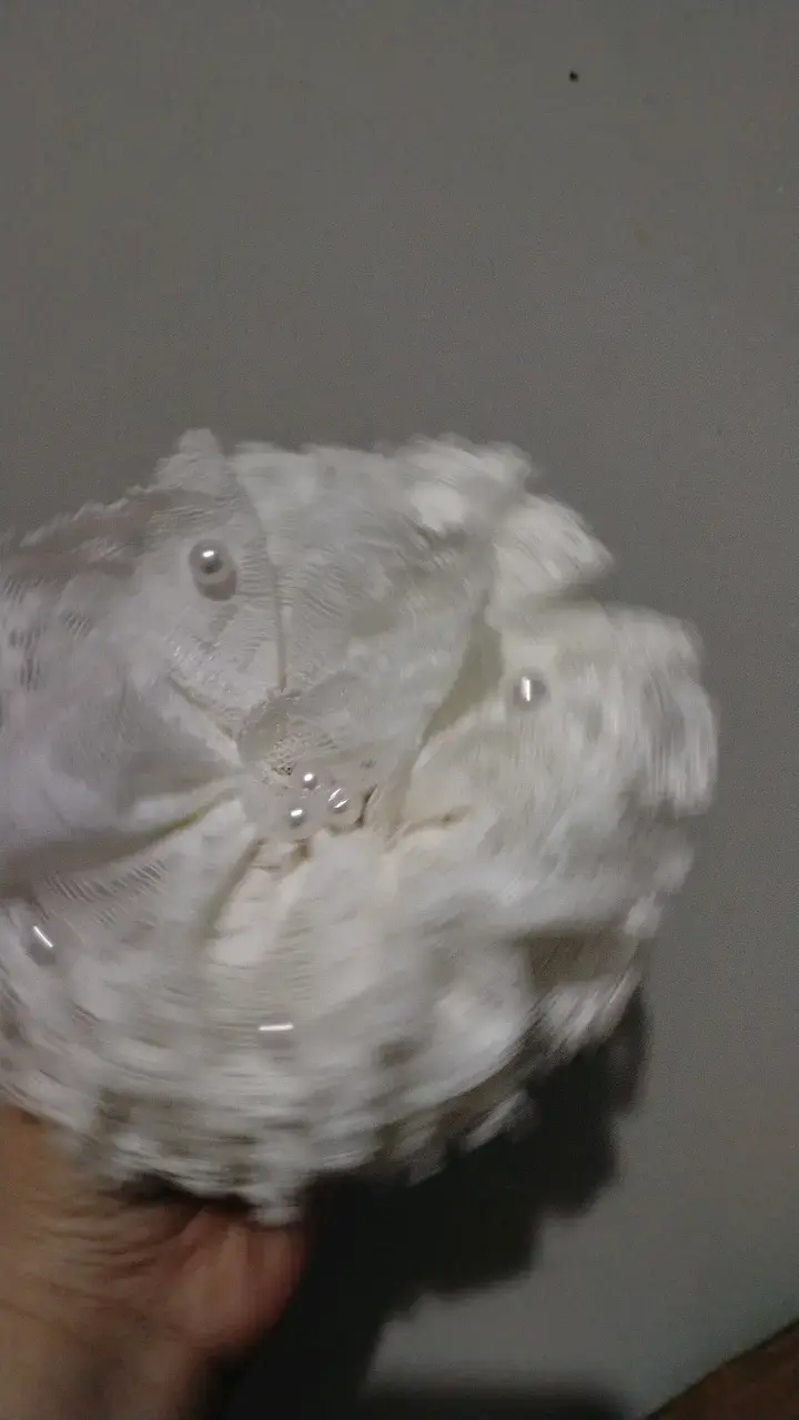 Broche de encaje blanco con perlas - 2