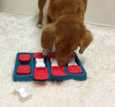 Juego interactivo para perros Dog Brick Outward Hound - miniatura 3