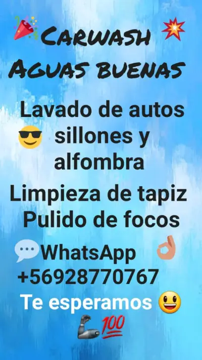Lavado de vehículos alfombras sillones - miniatura 1