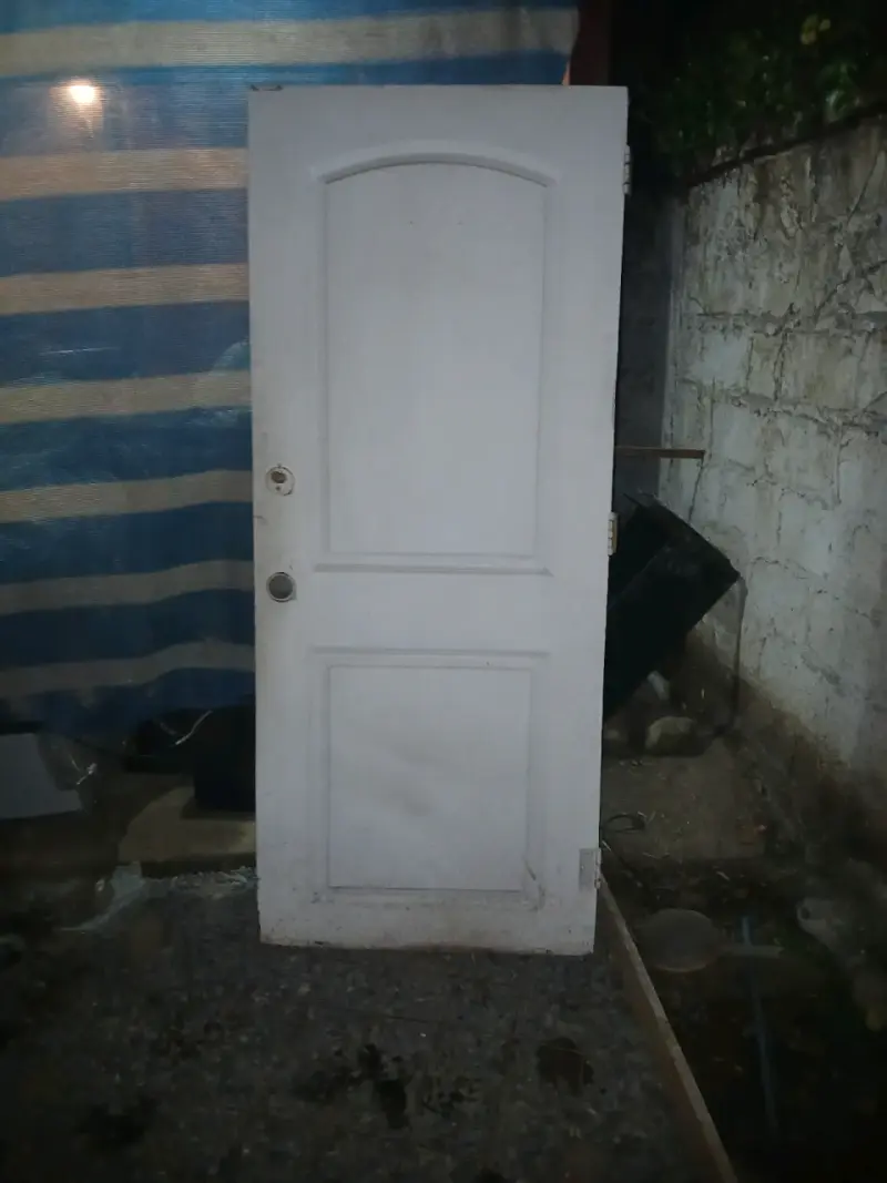 Puerta de madera blanca con diseño clásico - 2
