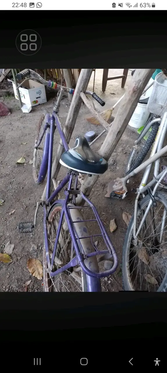 Bicicleta vintage morada con parrilla trasera - 1