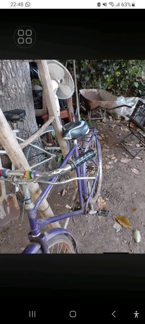 Bicicleta vintage morada con parrilla trasera - 4