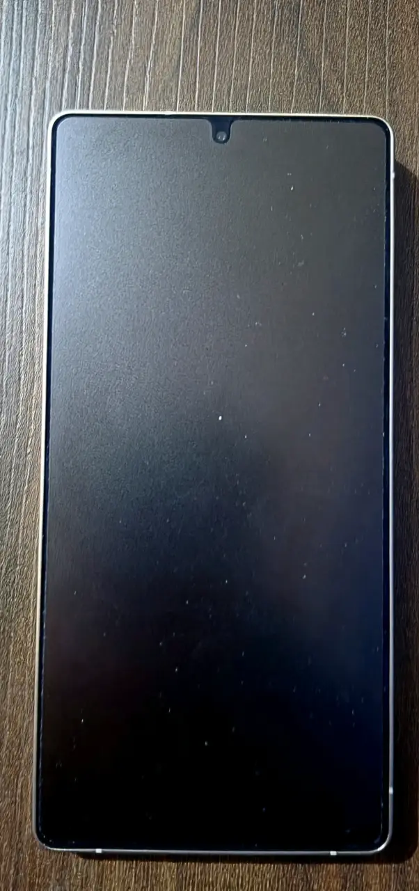 Galaxy S25 Ultra 256/12 Gb con accesorios - 3
