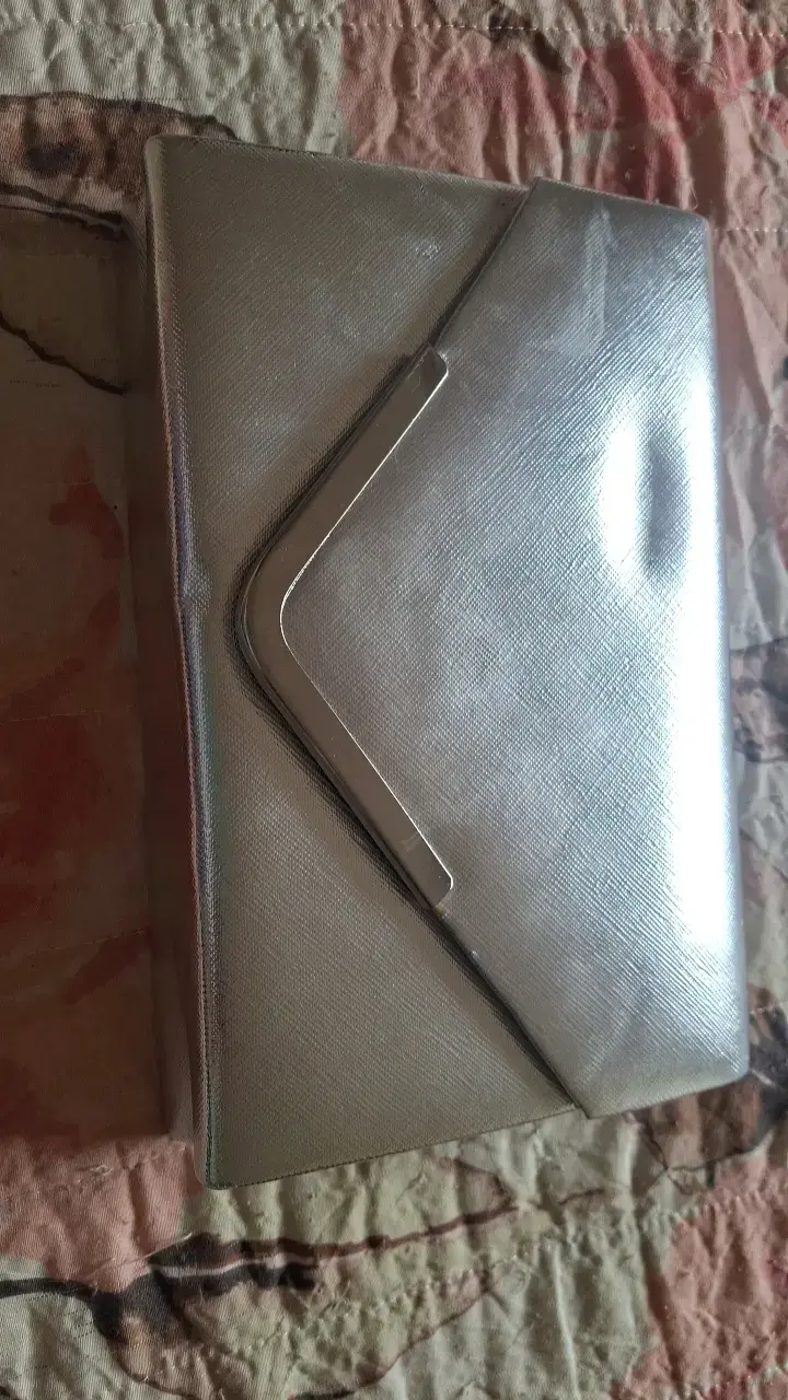 Cartera de mano plateada elegante - 1