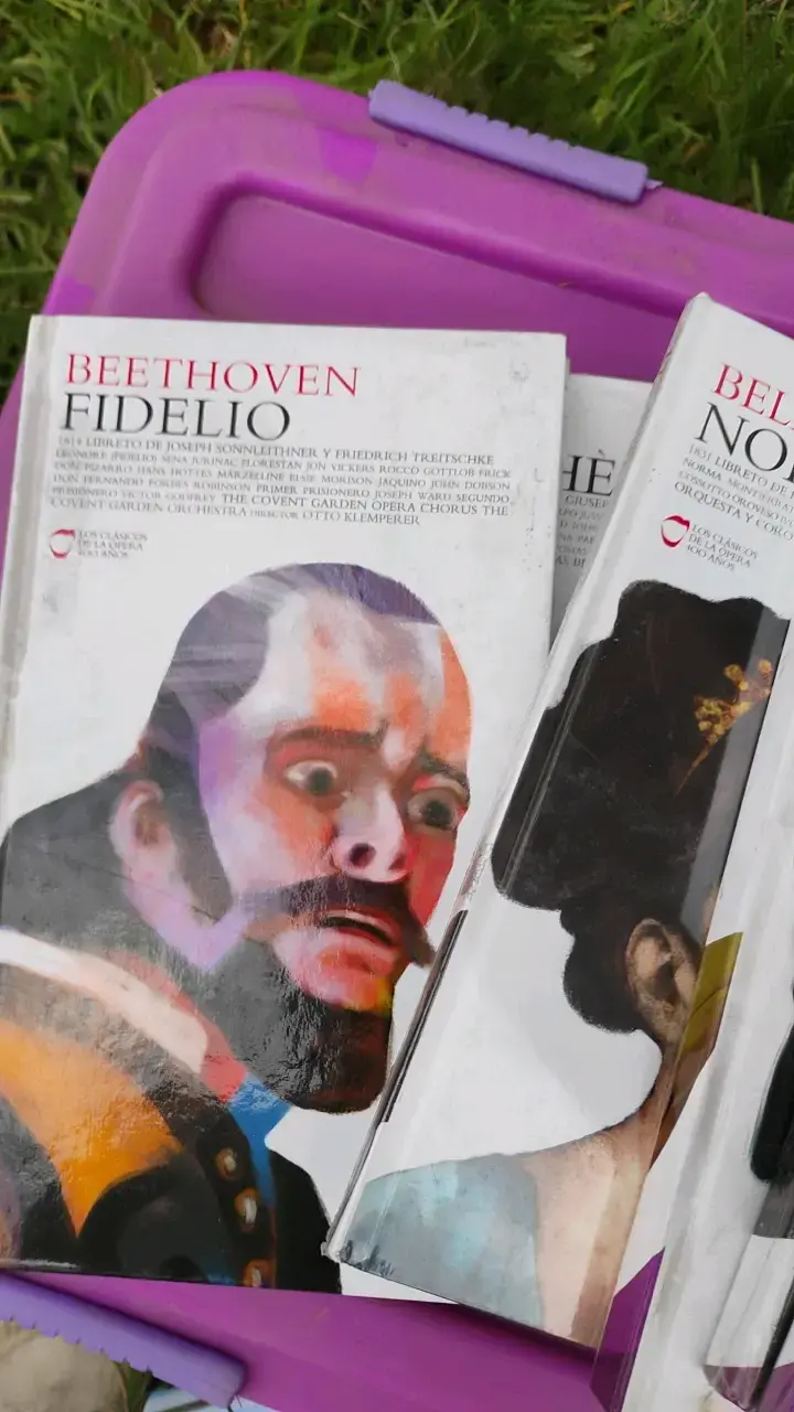 Colección de Óperas Clásicas: Donizetti, Bizet y - 3