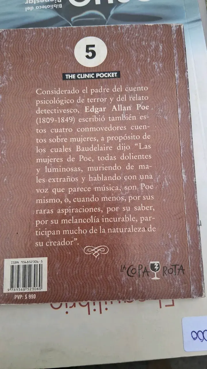 Libro Cuatro Mujeres de Edgar Allan Poe - 2