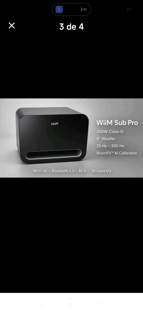 Subwoofer Wiim Sub Pro 250W Negro - 1