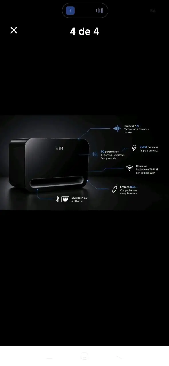 Subwoofer Wiim Sub Pro 250W Negro - 2
