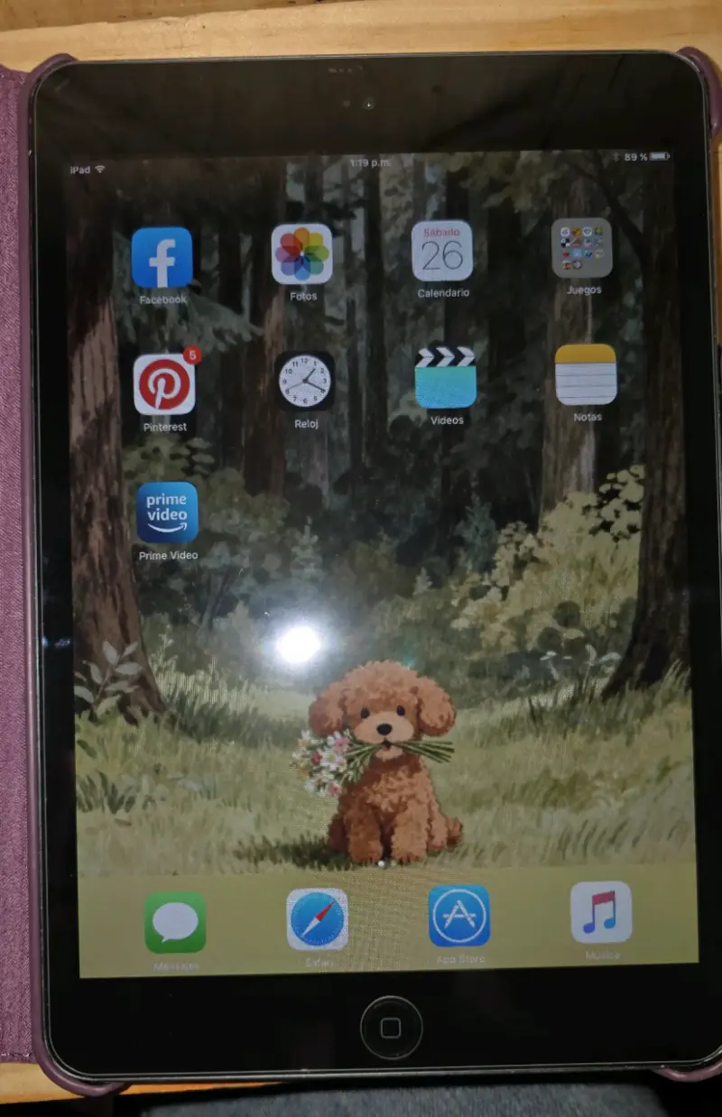 iPad mini 1 con funda protectora - 3