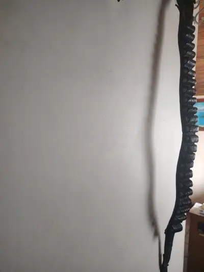 Cinturón de cuero para cartuchos con hebilla dorada - miniatura 1