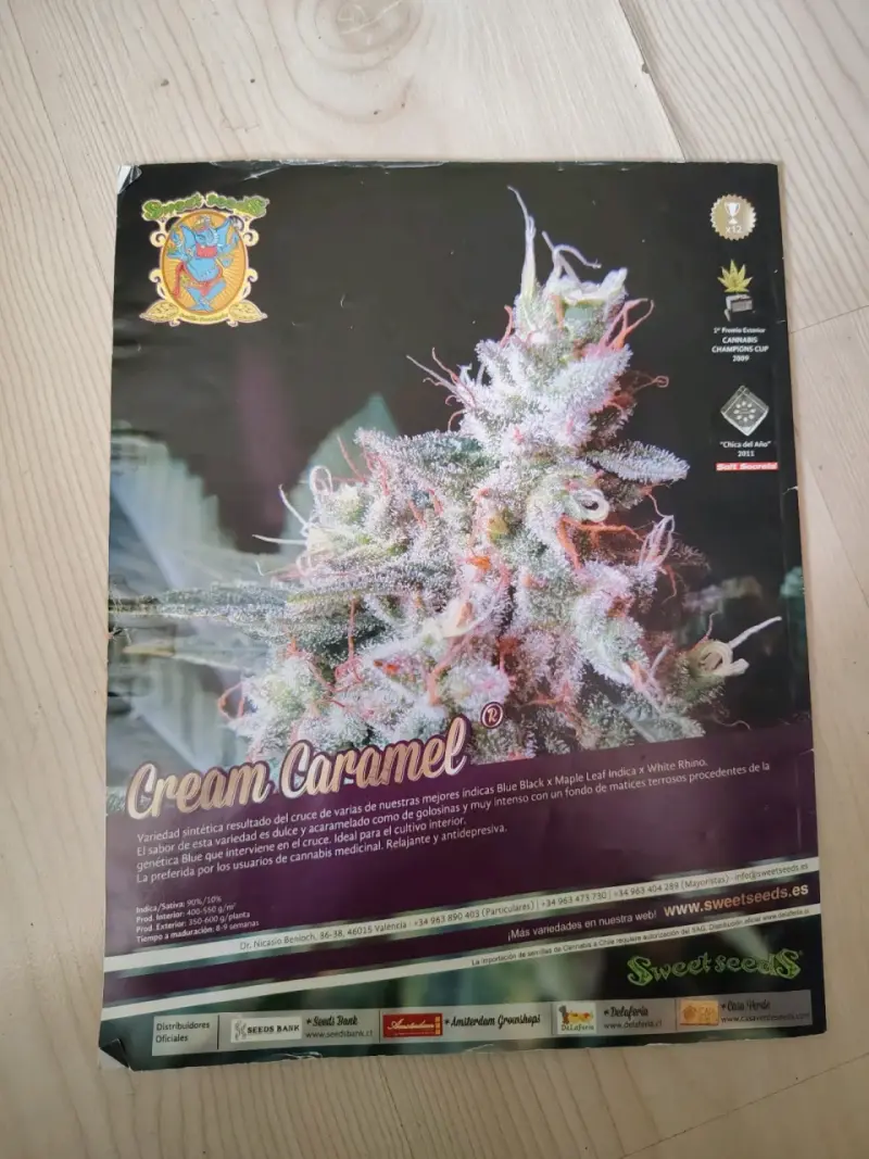 Revista Cáñamo Psicoactivos y Cultura Cannábica - 2