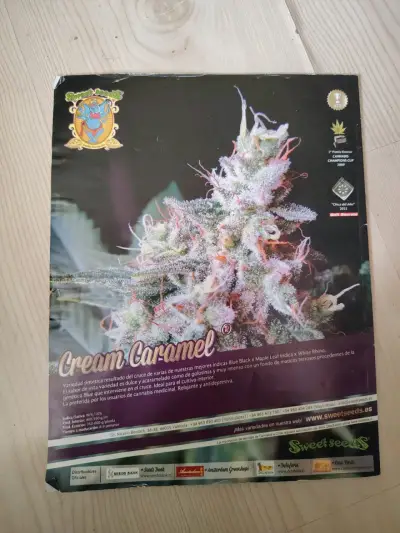 Revista Cáñamo Psicoactivos y Cultura Cannábica - miniatura 2