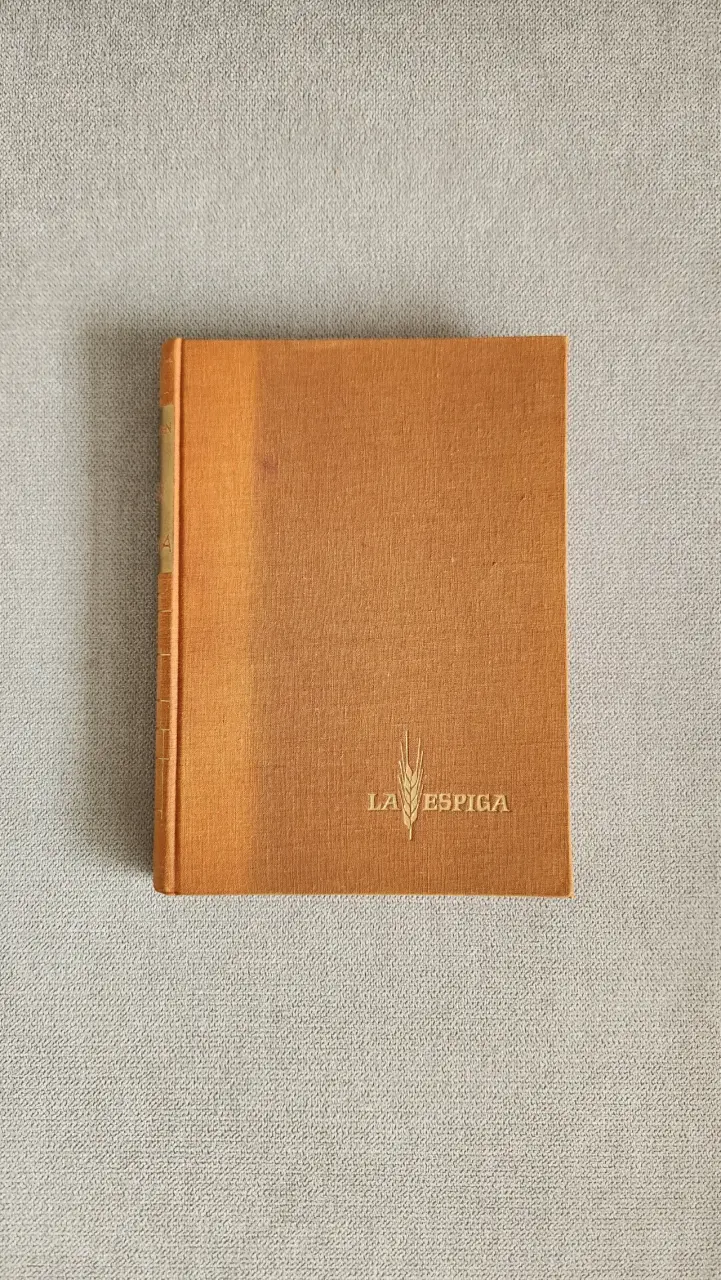 El Libro de Fátima de Alma Holgersen - 1