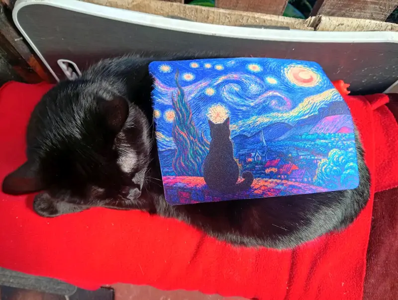 Alfombrilla de ratón personalizada con diseño de gato - 3