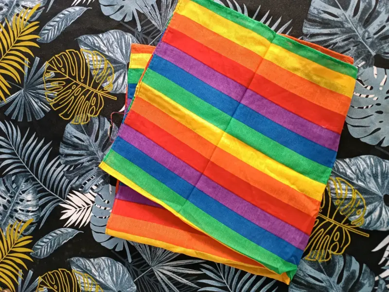 Pañuelos de algodón multicolor y azul - 1