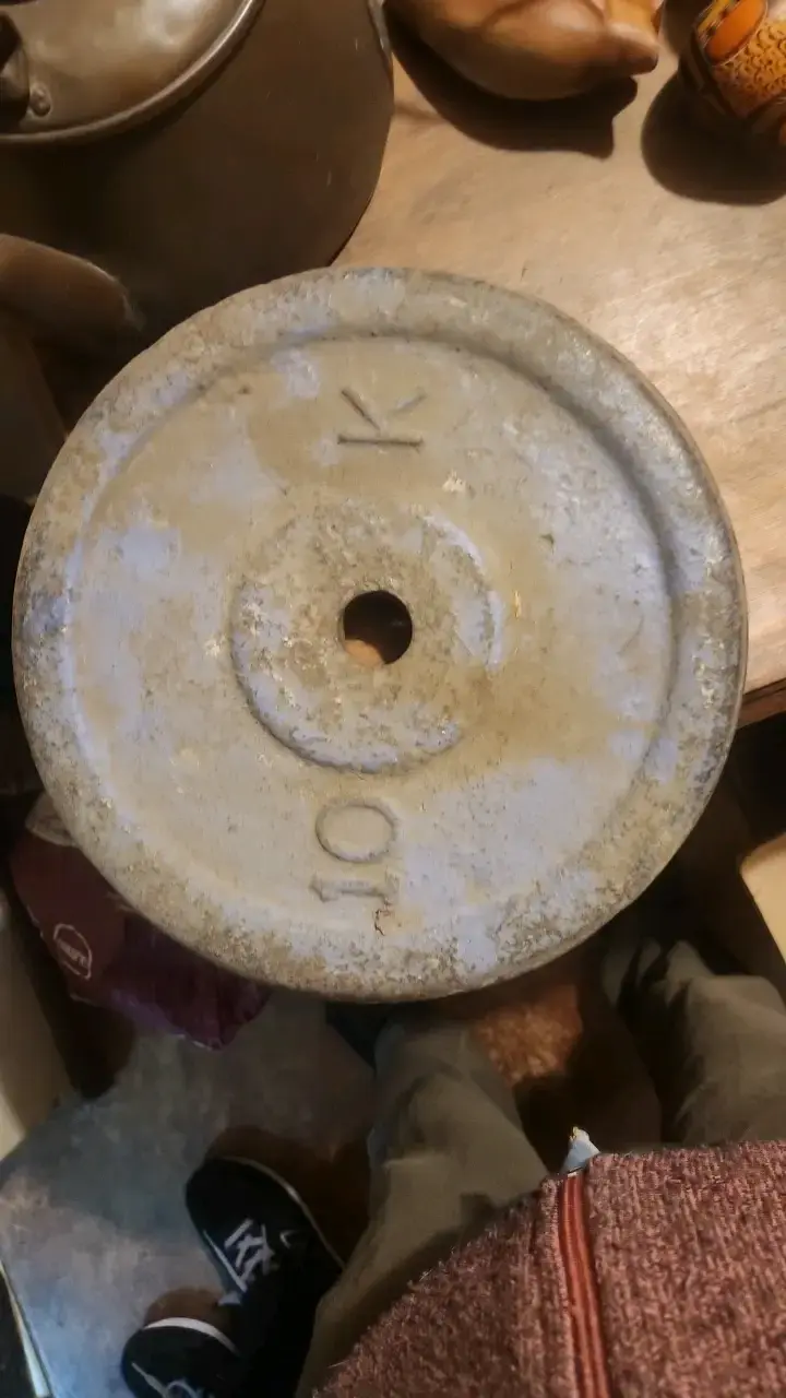 Disco de Pesas 10 kg para Gimnasio
