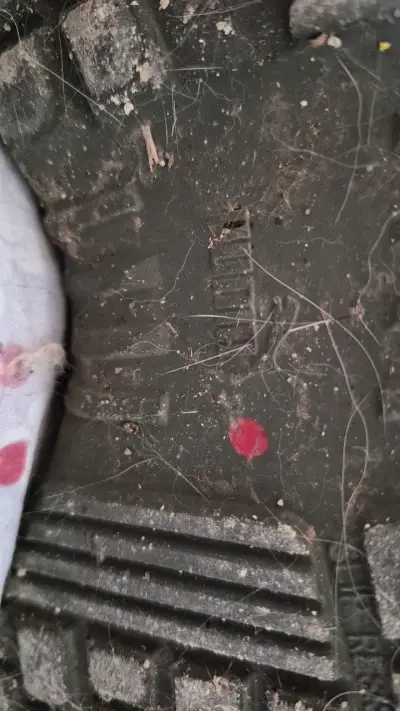 Botas de seguridad negras con interior naranja - miniatura 3