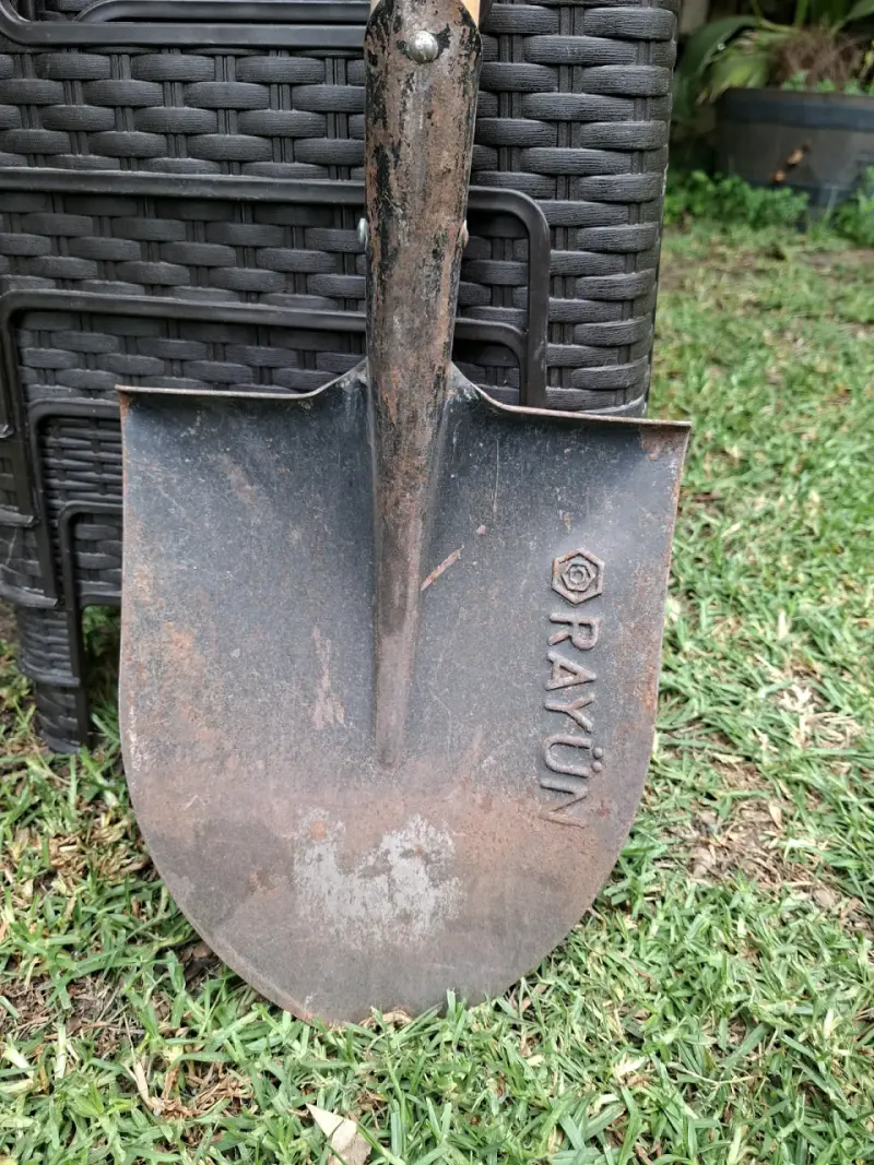 Pala de jardín Rayun con mango de madera - 2