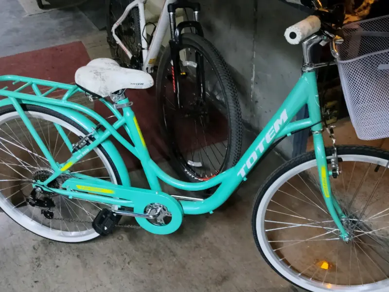 Bicicleta urbana Totem verde con canasto - 3
