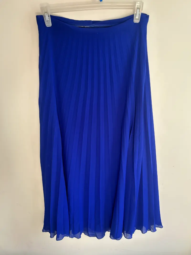 Falda plisada azul elegante - 1