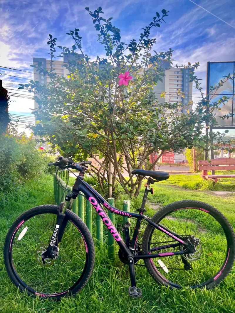 Bicicleta Oxford de Montaña Negra y Rosa - 1