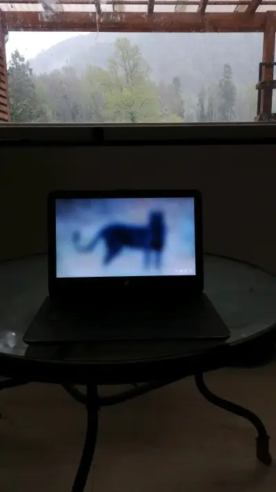 Notebook HP en buen estado - miniatura 3
