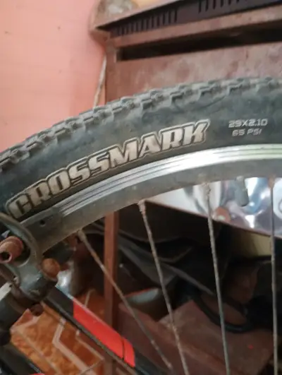 Bicicleta Trek de montaña con neumáticos Crossmark - miniatura 1