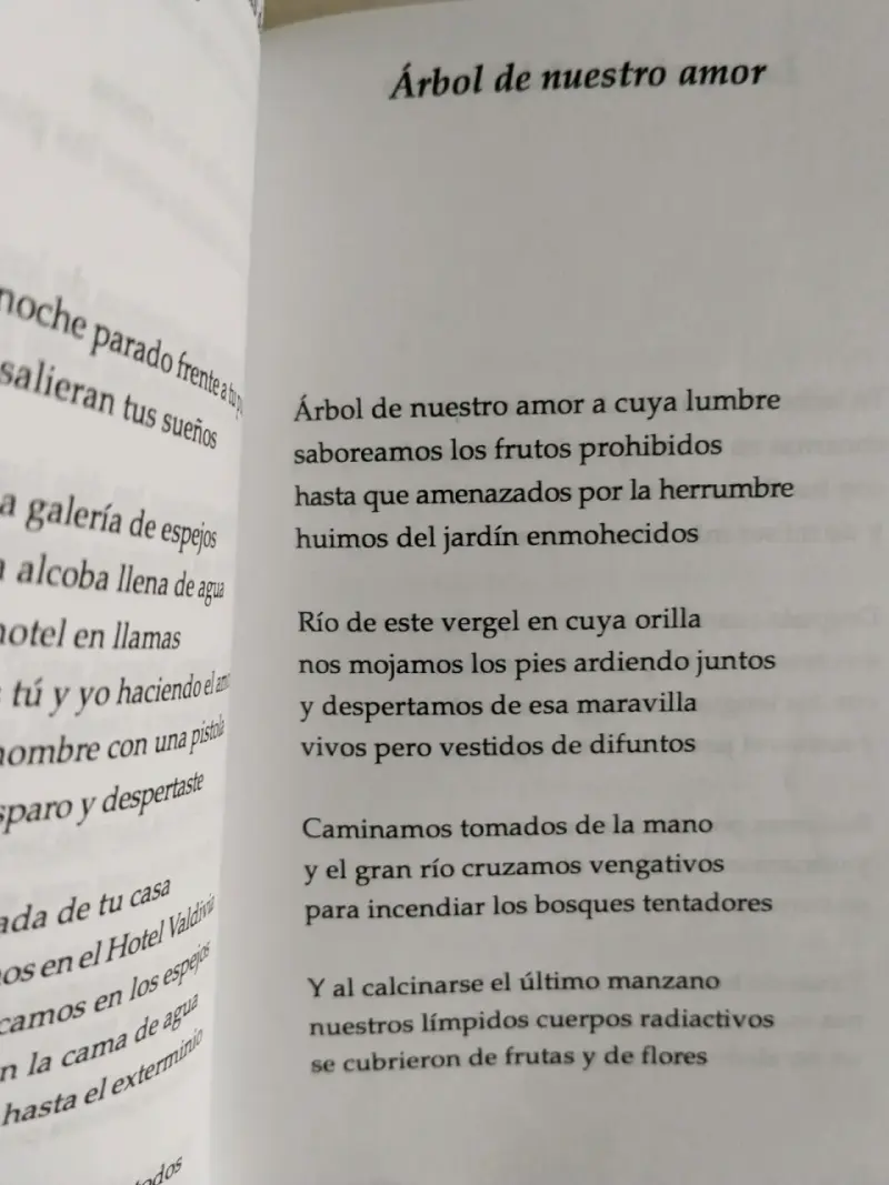 Libro 'Poemas de Amor' de Óscar Hahn - 2