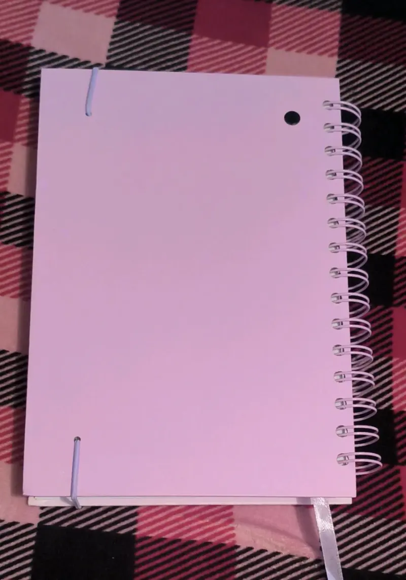 Agenda 2027 con diseño de gatos - 2
