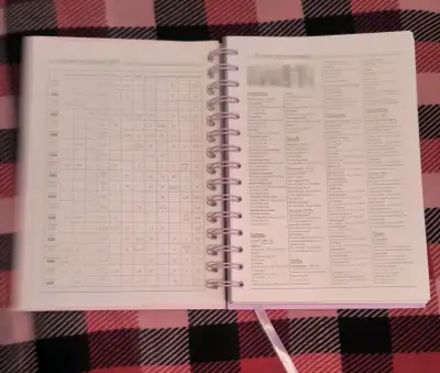 Agenda 2027 con diseño de gatos - miniatura 5
