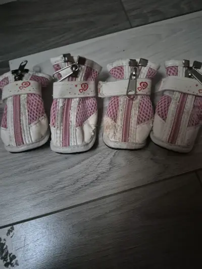 Ropa para perro con diseño de conejo y leopardo - miniatura 3
