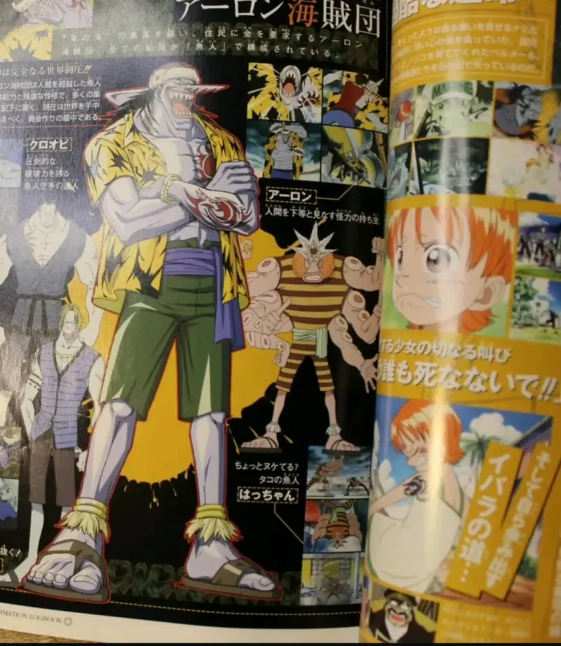 One Piece Logbook - 4