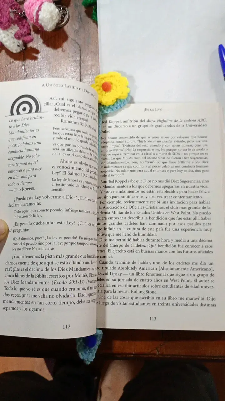 Separadores de libros tejidos a crochet coloridos - 2