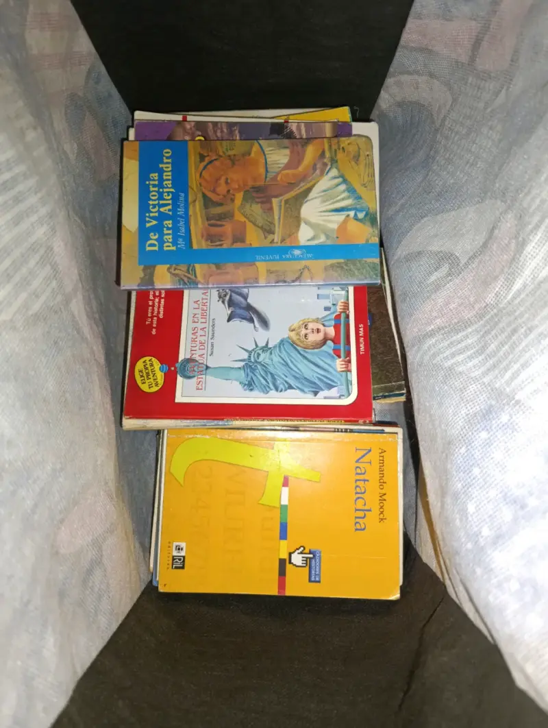 Lote de libros escolares variados