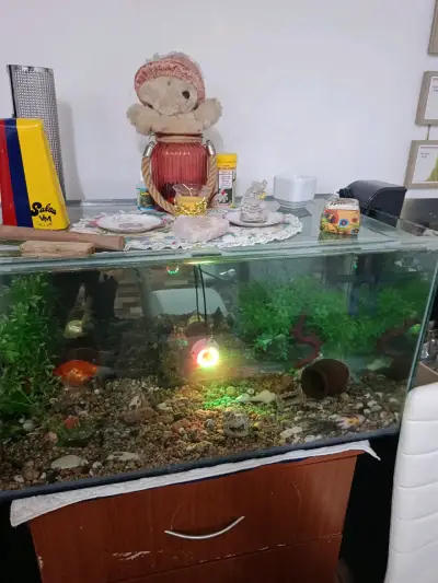 Acuario con decoración y luz LED - miniatura 1