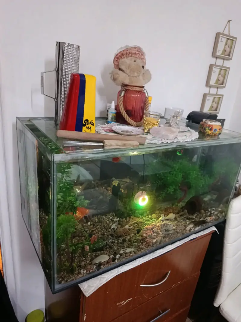 Acuario con decoración y luz LED - 2