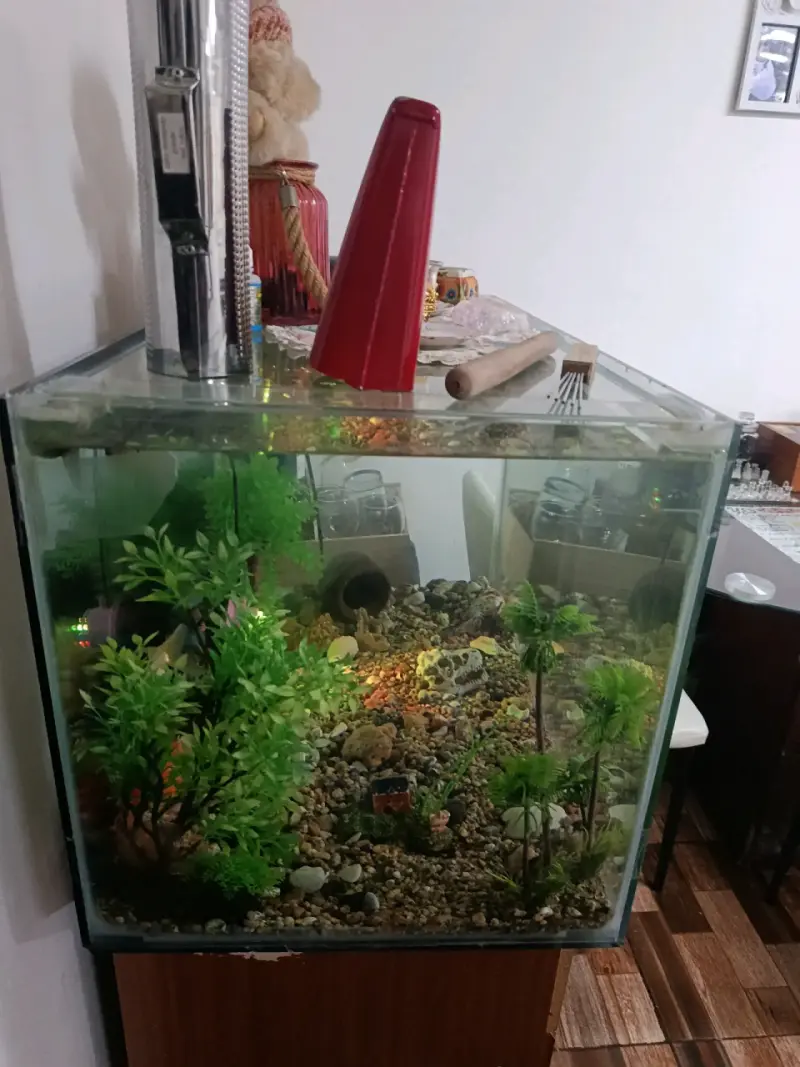 Acuario con decoración y luz LED - 3