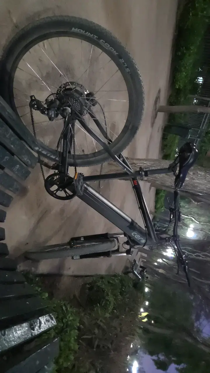 Bicicleta eléctrica de montaña con luces LED - 1
