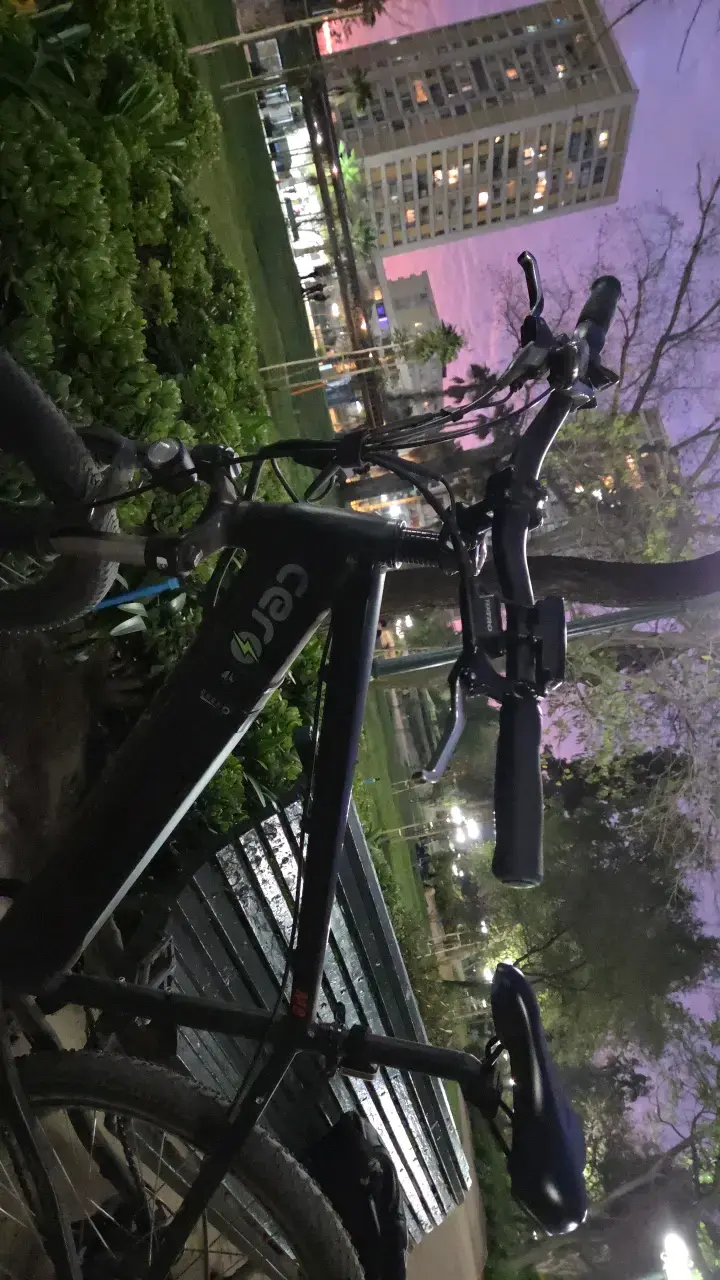 Bicicleta eléctrica de montaña con luces LED - 2