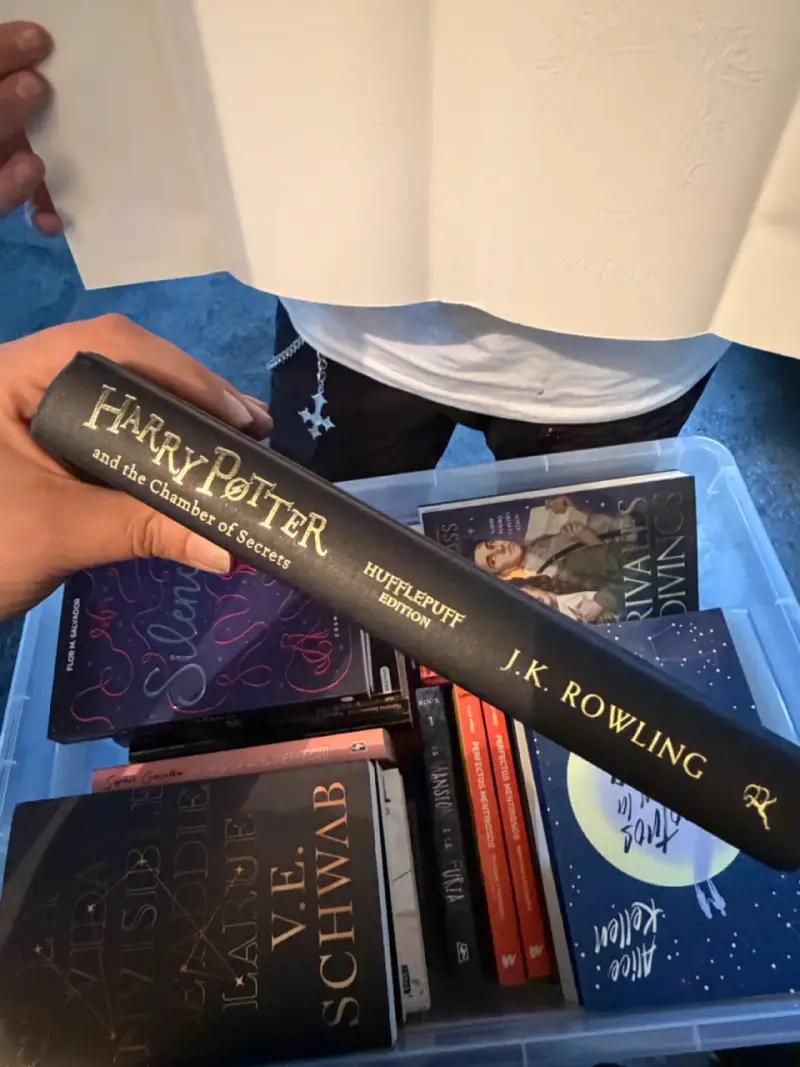 Harry Potter y la Cámara Secreta Edición Huff