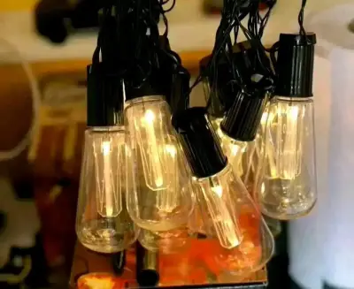 Guirnalda de Luces LED Solares para Jardín - miniatura 3