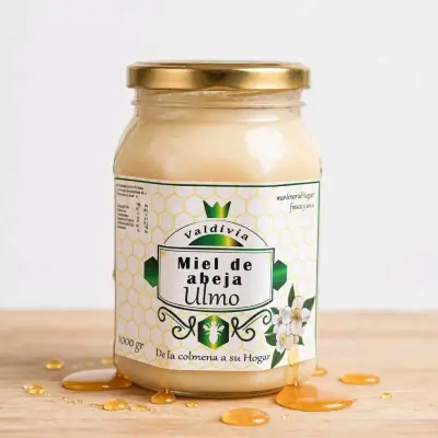 Miel de Abeja Ulmo Valdivia 1000g - miniatura 1
