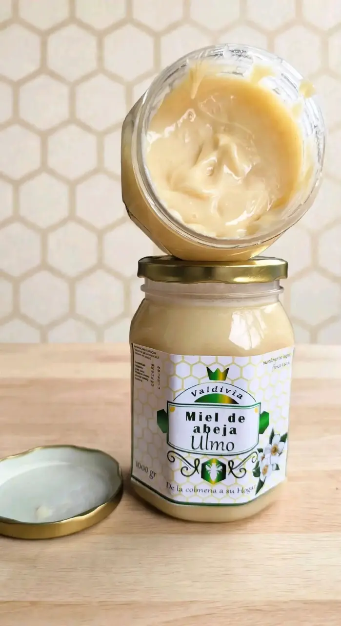 Miel de Abeja Ulmo Valdivia 1000g - 3
