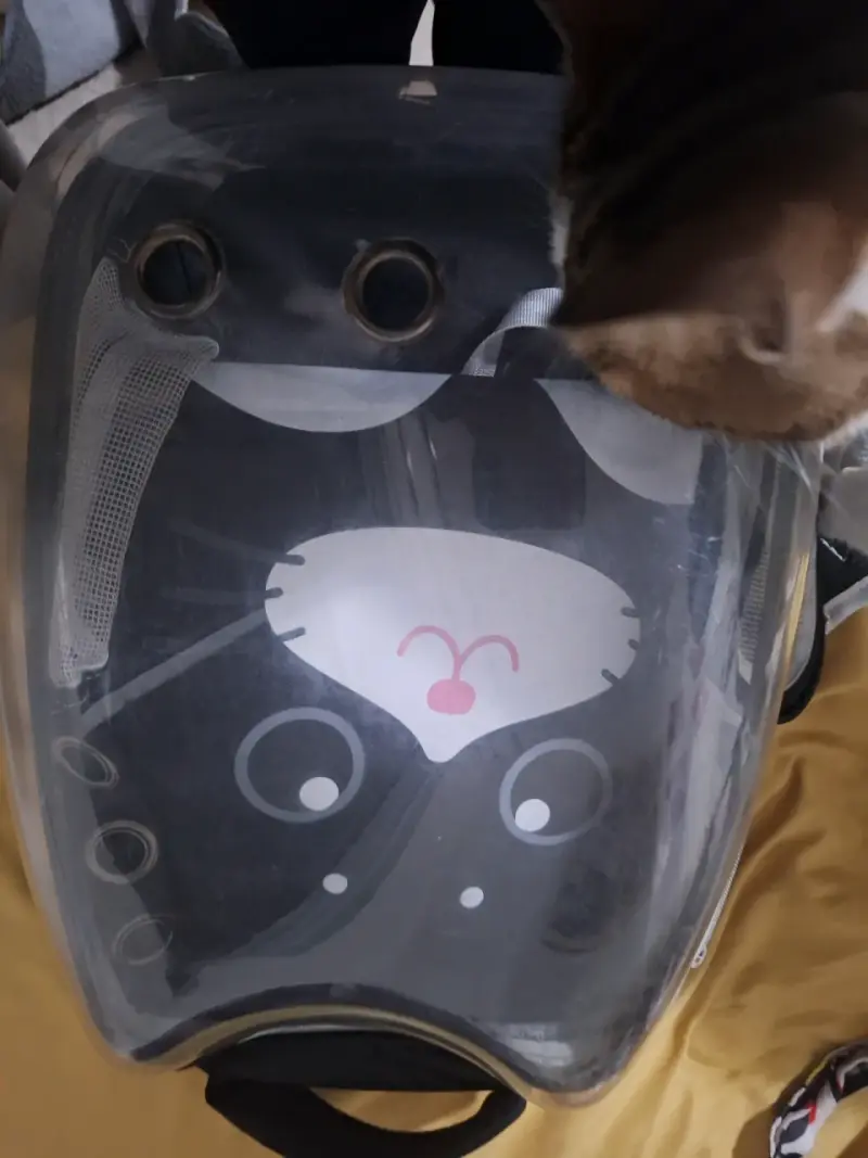 Mochila transportadora para mascotas gato - 1